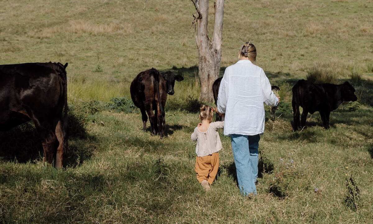 Photo of Others in Kidaman Creek