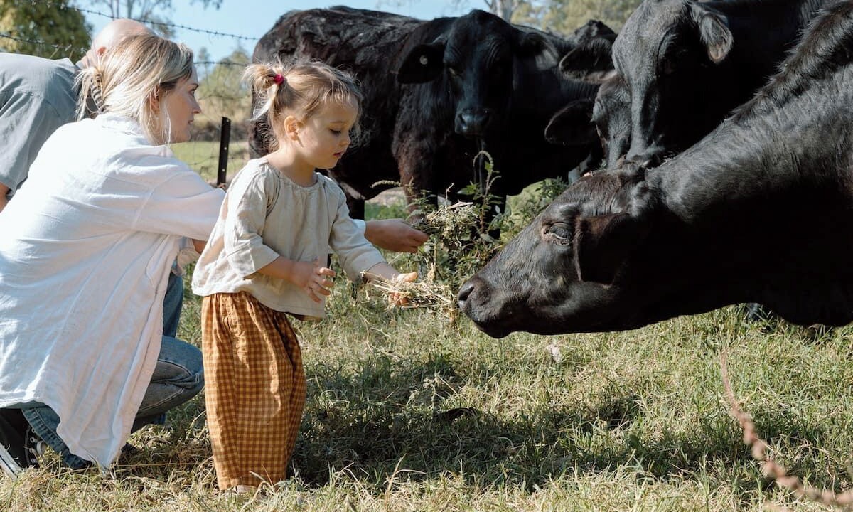 Photo of Others in Kidaman Creek