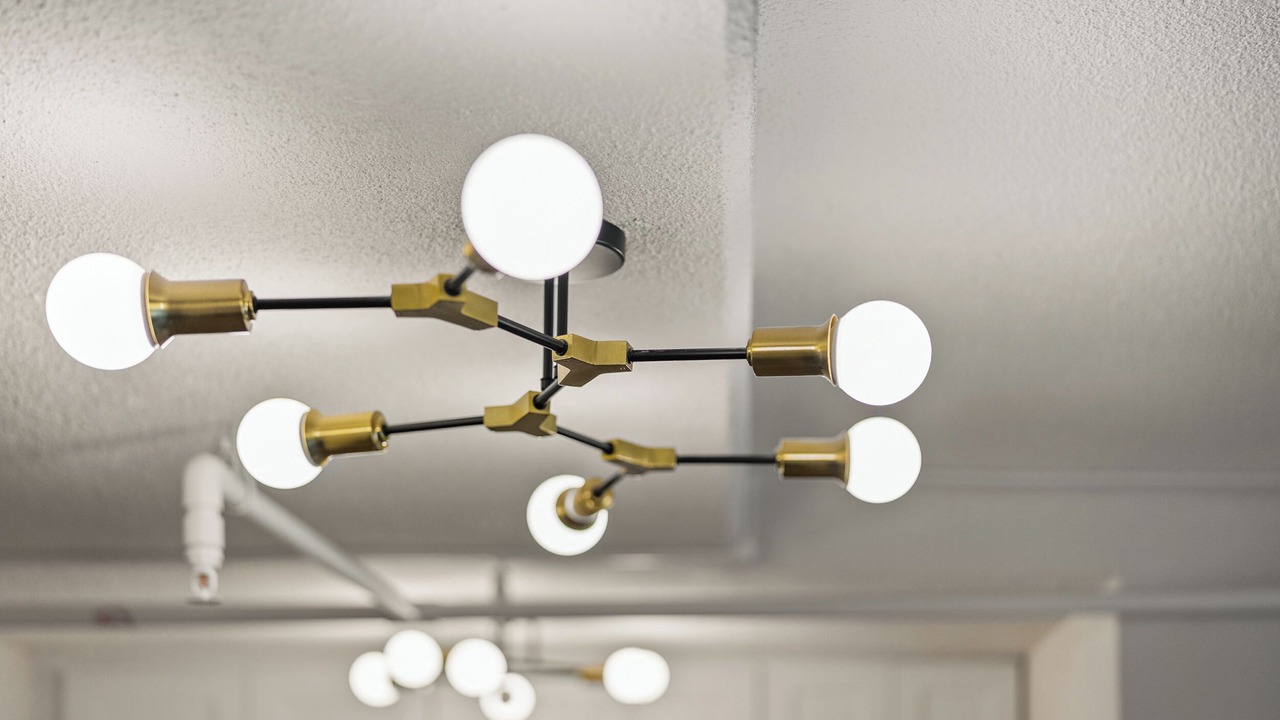 Photo of Others in Central Gardens