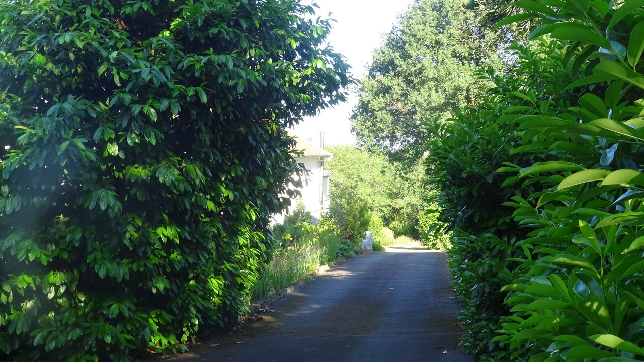 Photo of Outdoor in Saint-Genest