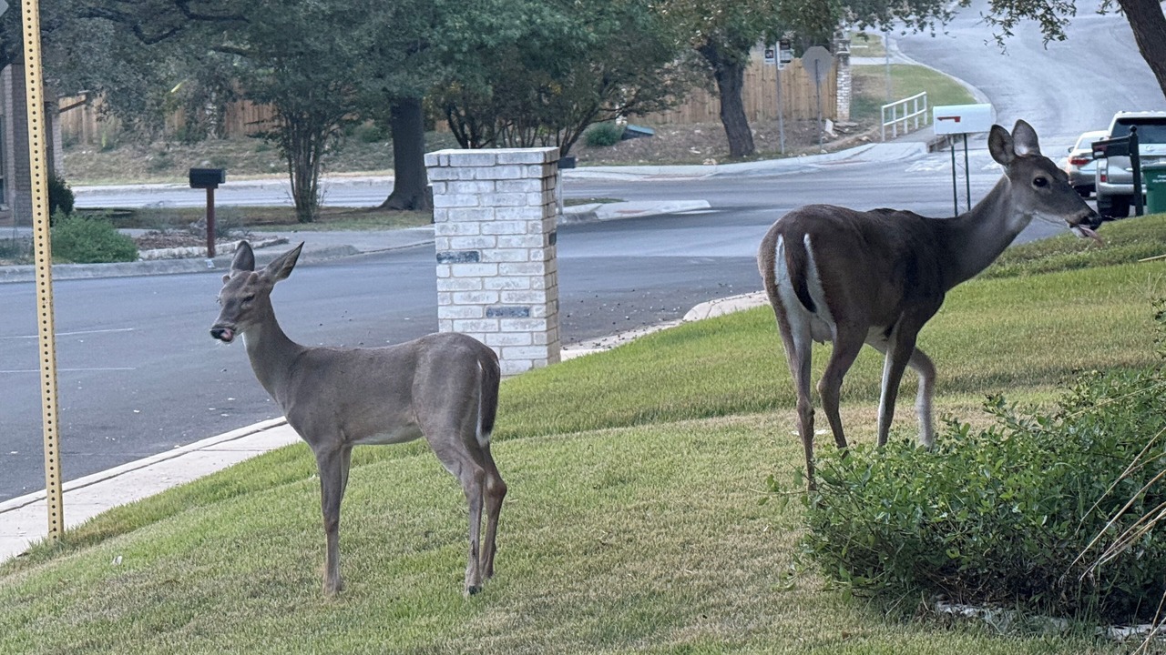 Photo of Others in North Central Thousand Oaks