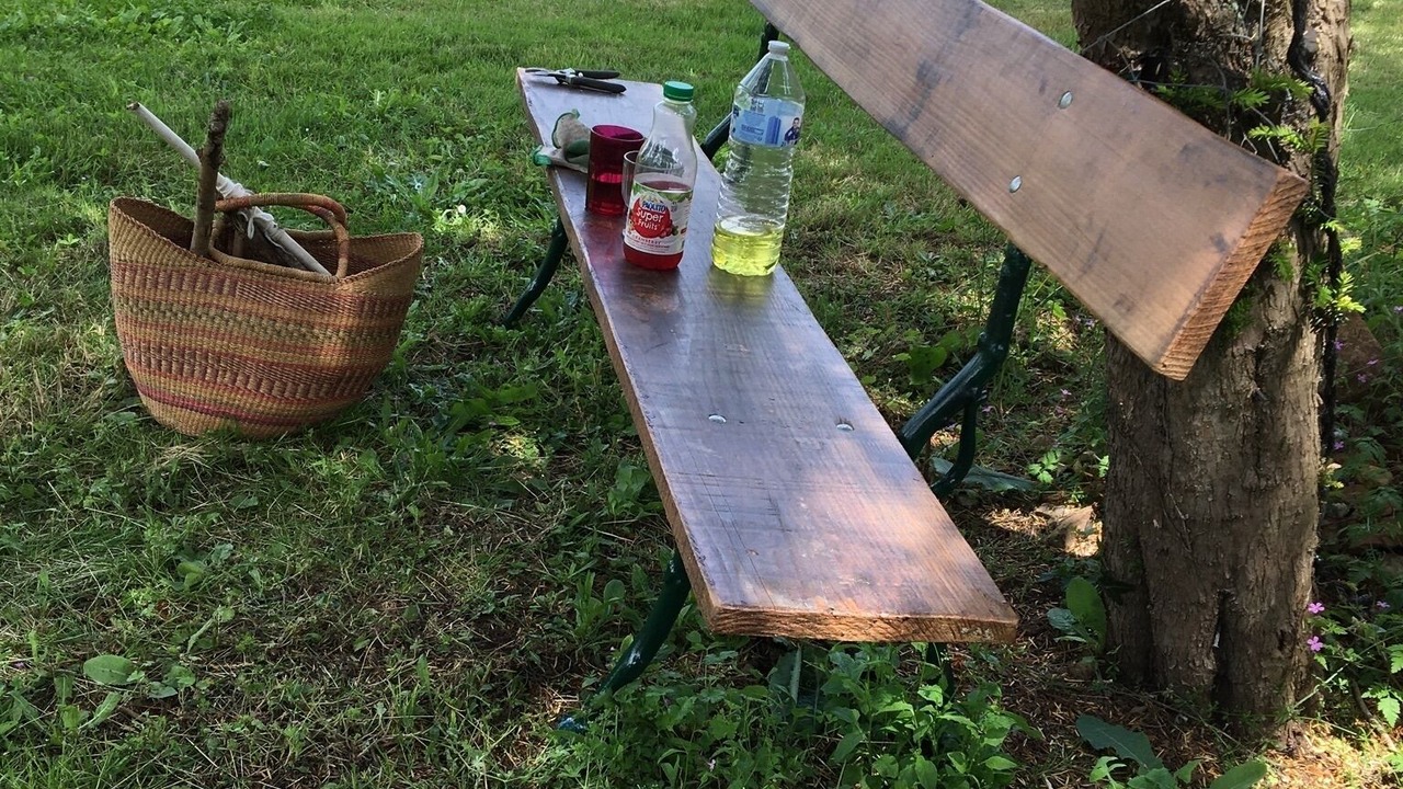 Photo of Outdoor in Le Vigeant