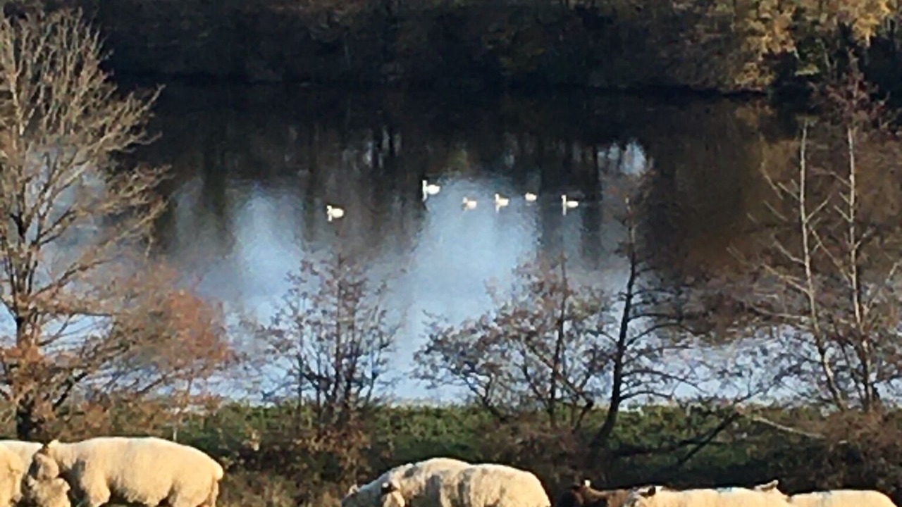 Photo of Others in Le Vigeant