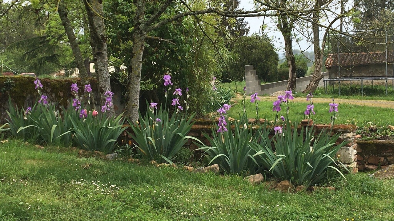 Photo of Outdoor in Le Vigeant