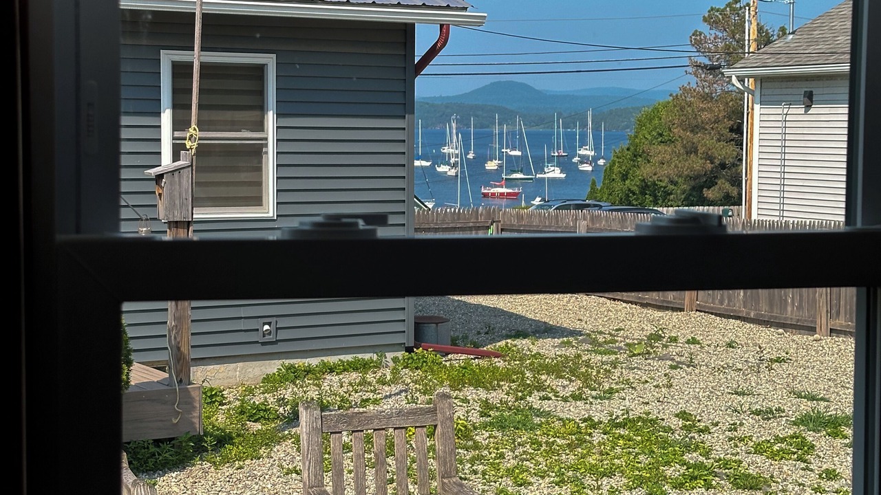 Photo of Others in Malletts Bay