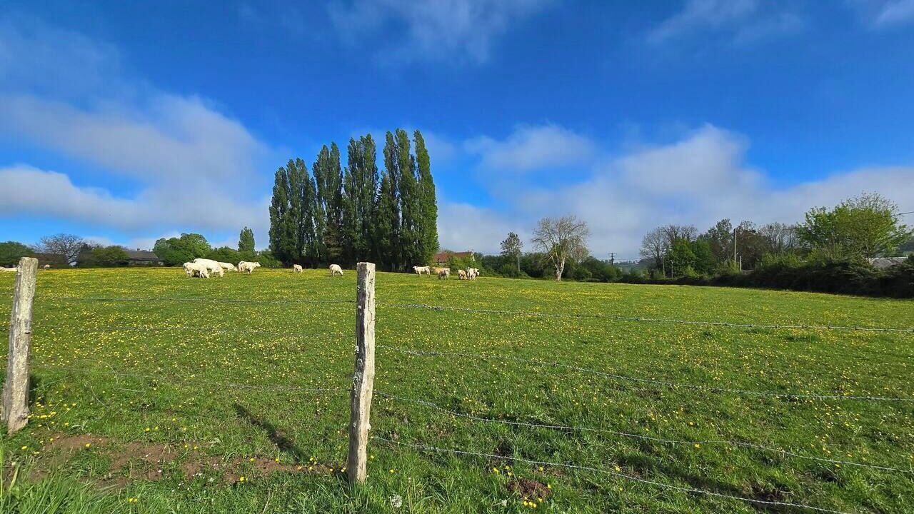 Photo of Others in Fay