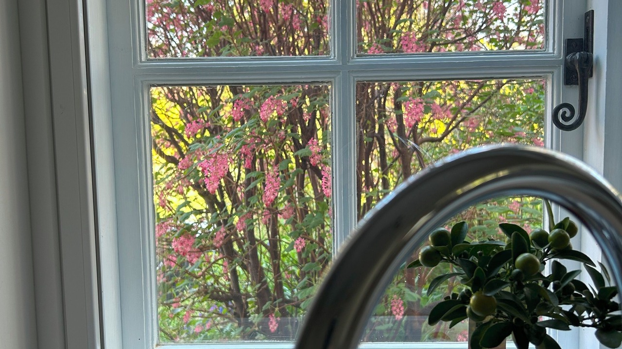 Photo of Others in Trowbridge