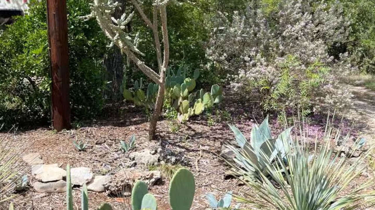 Photo of Outdoor in Austin