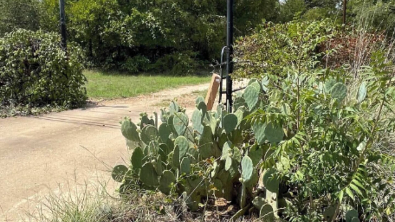 Photo of Outdoor in Austin