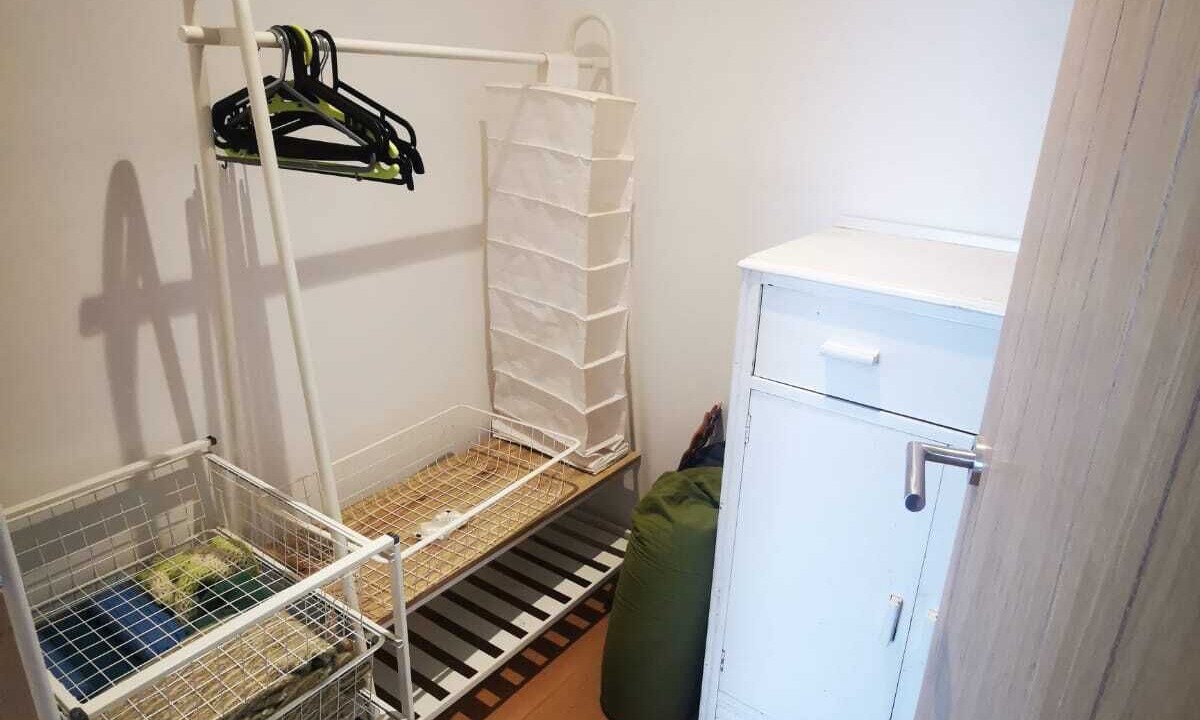 Photo of Others in Lyme Regis