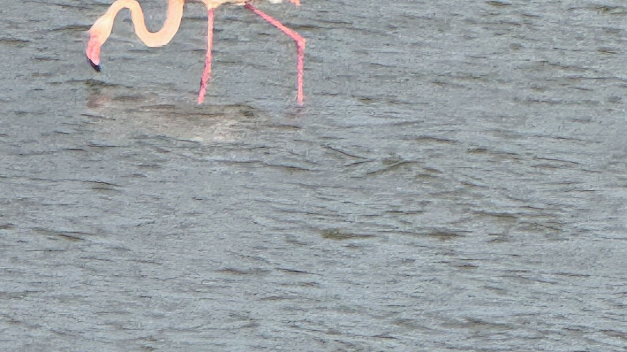 Photo of Others in Vitrolles