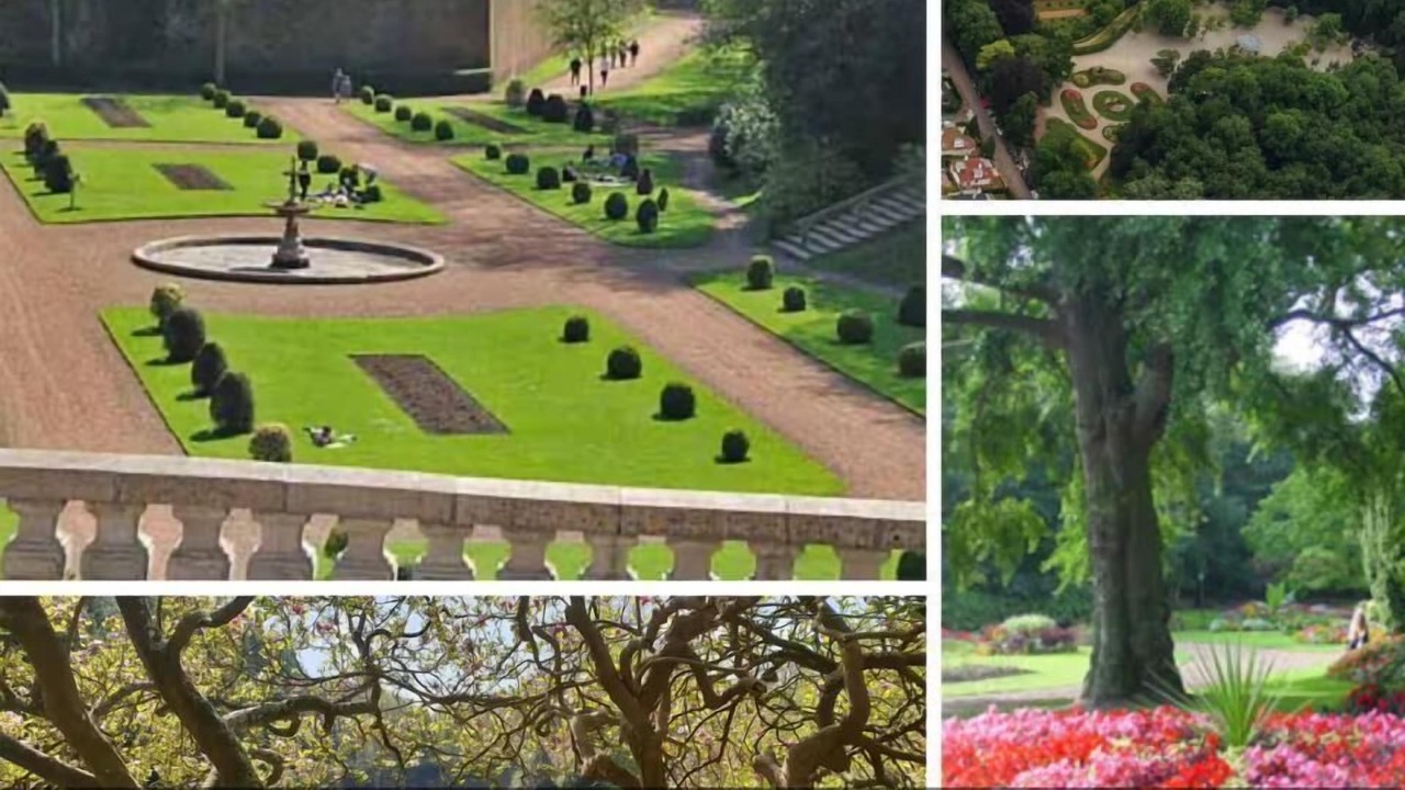 Photo of Others in Saint-Omer