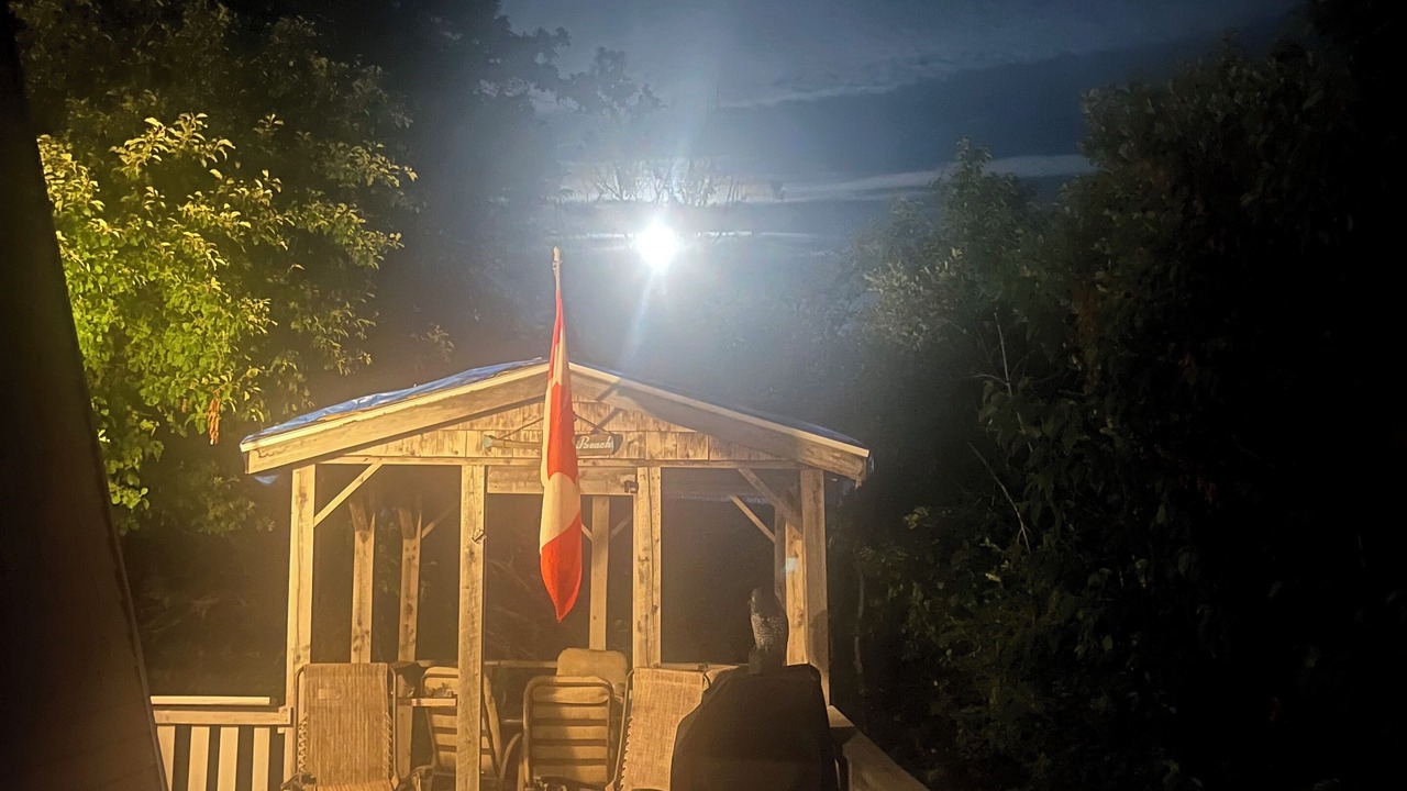 Photo of Patio Balcony in Morell