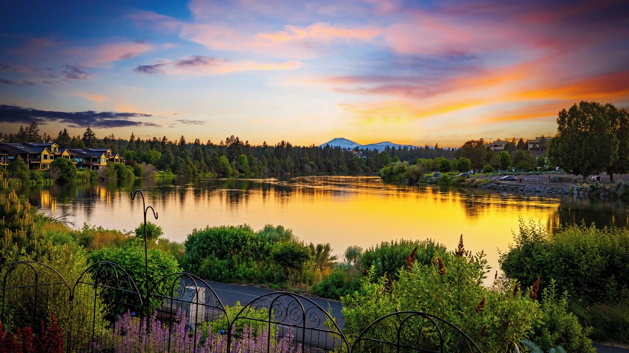 Photo of Others in Southern Crossing