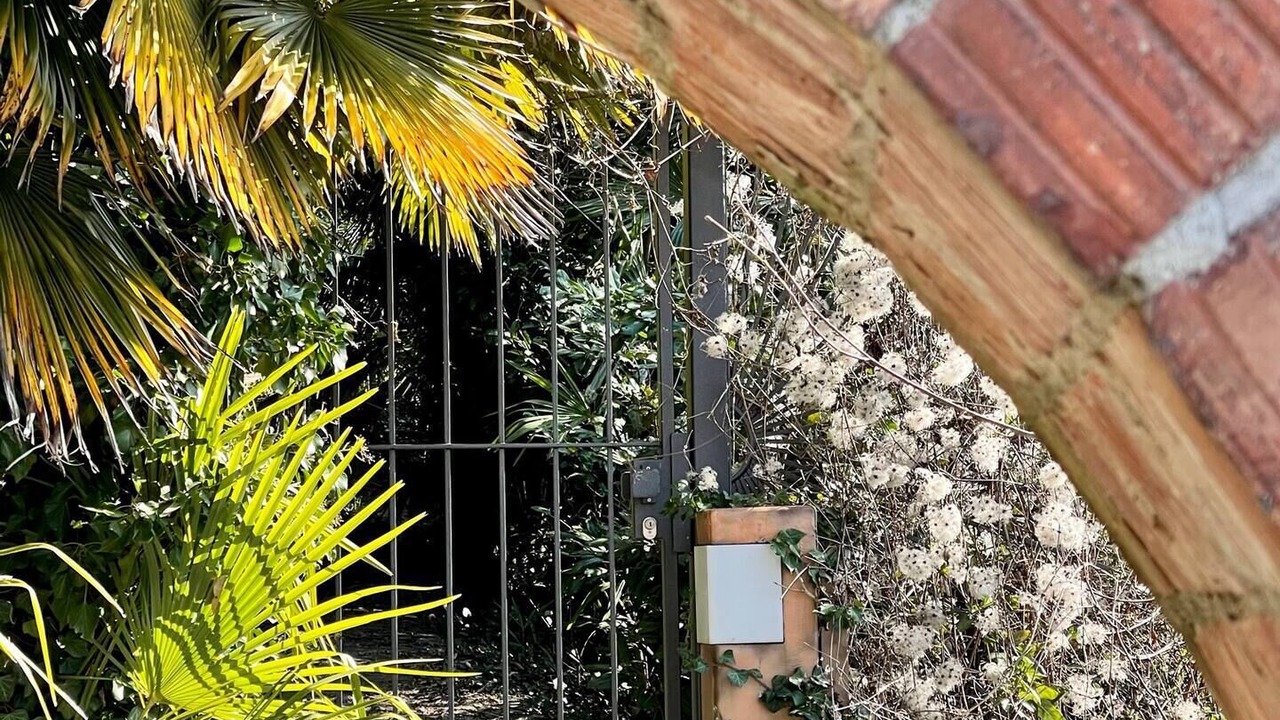Photo of Outdoor in Gudo