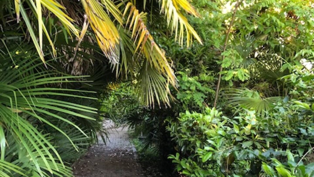 Photo of Outdoor in Gudo