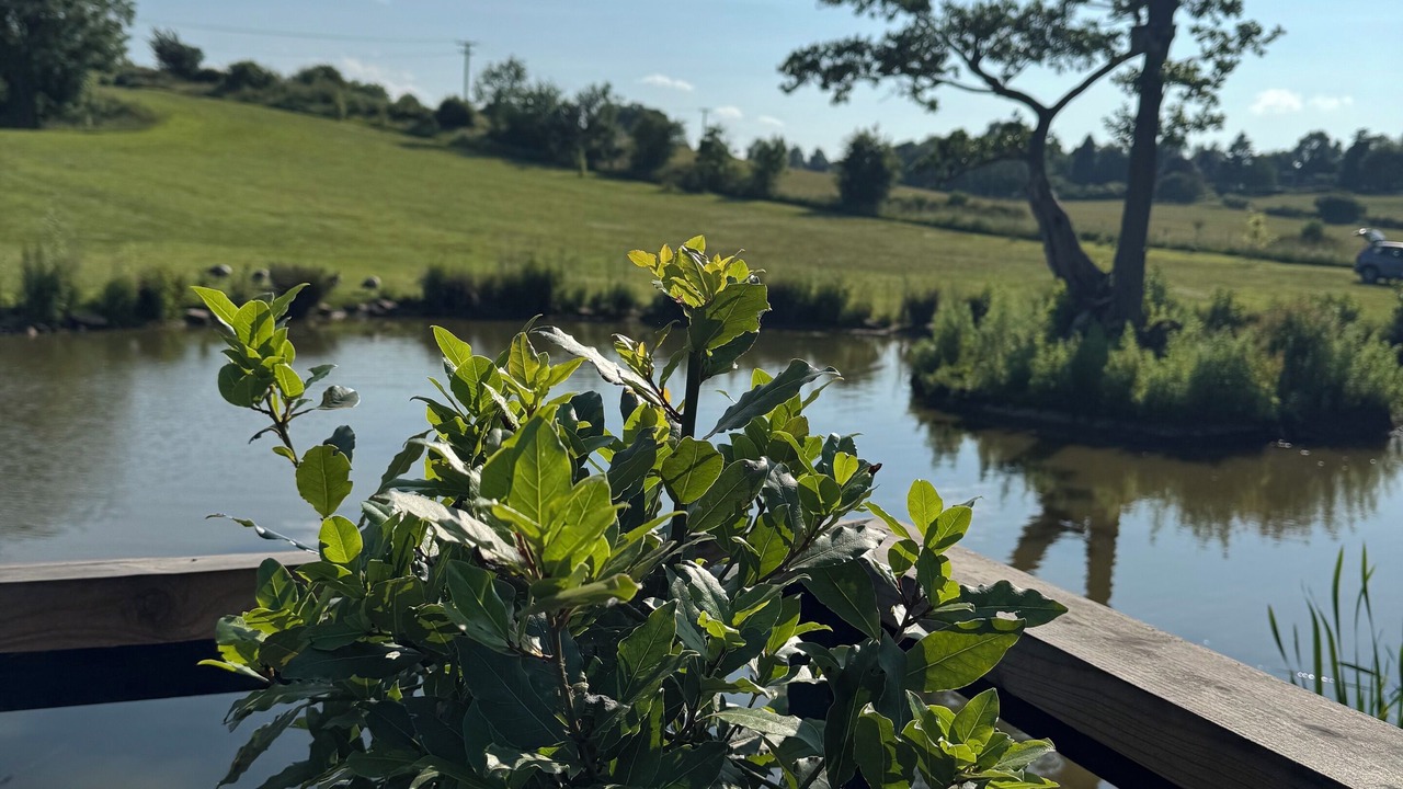 Photo of Others in Derby