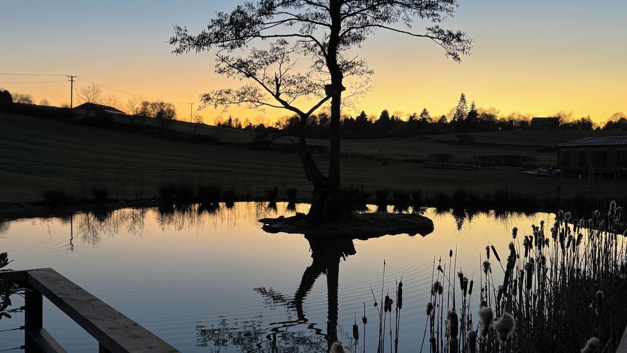 Photo of Others in Derby