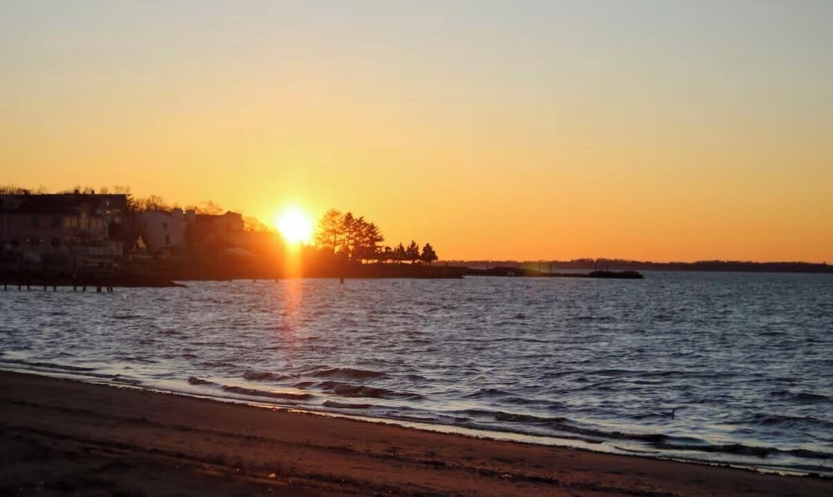 Photo of Others in East Shore