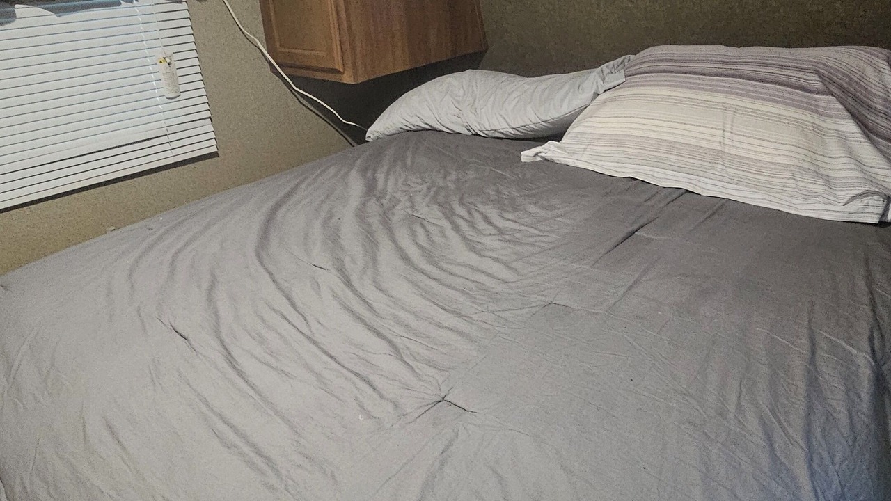 Photo of Bedroom in Negreet