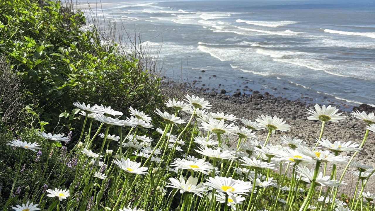 Photo of Others in Neahkahnie Beach