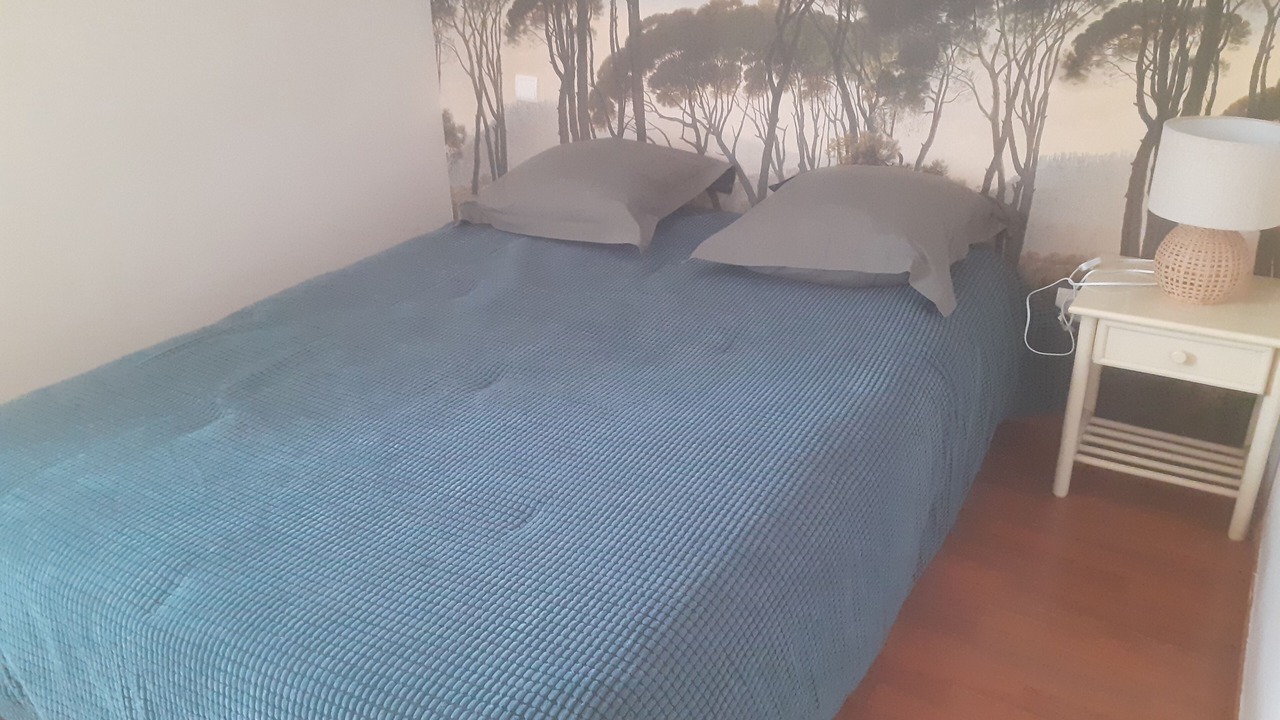Photo of Bedroom in Saint-Pierre-des-Champs