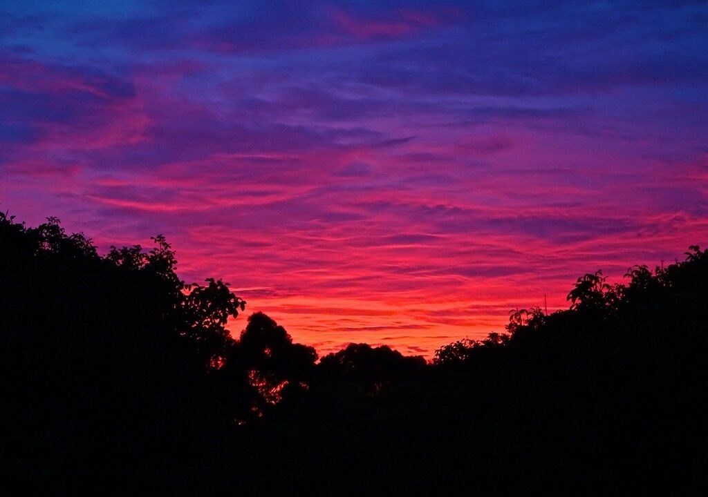 Photo of Others in Kai Iwi