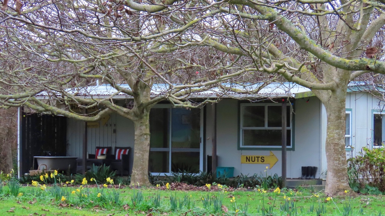 Photo of Others in Kai Iwi