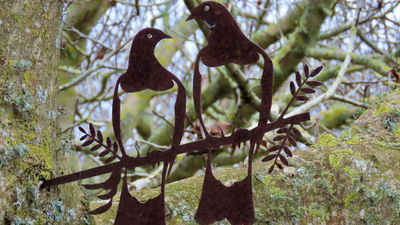 Photo of Others in Kai Iwi