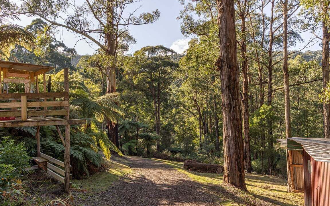 Photo of Others in Healesville