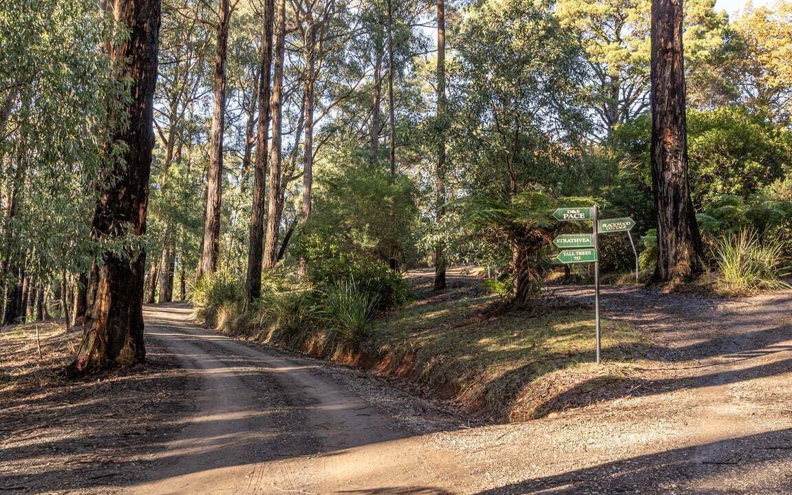 Photo of Others in Healesville