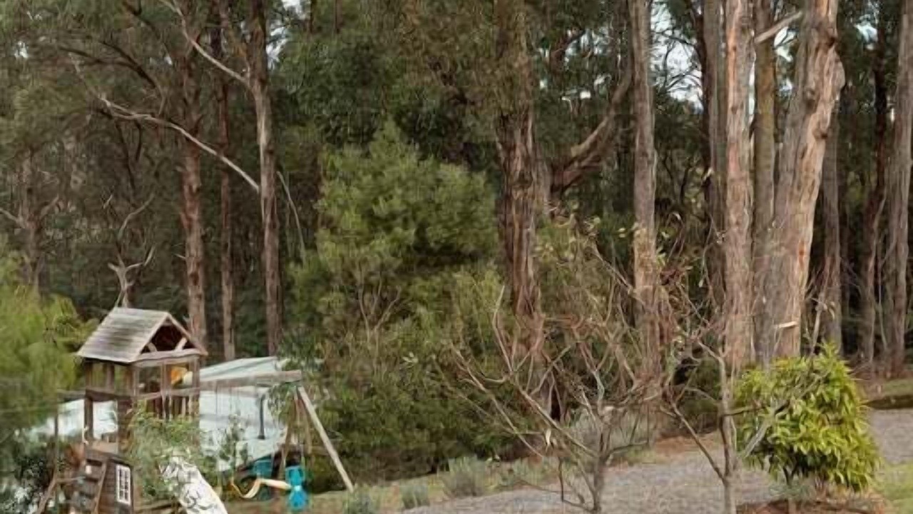 Photo of Outdoor in Healesville