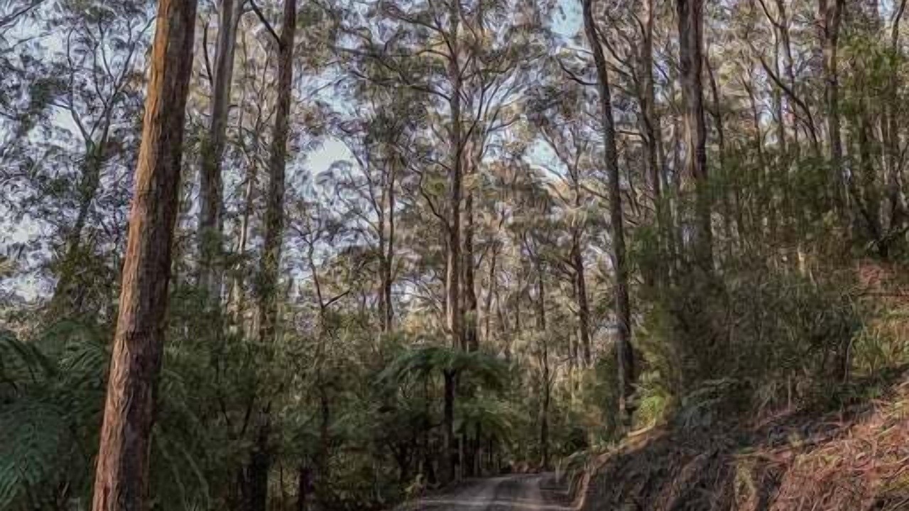 Photo of Others in Healesville