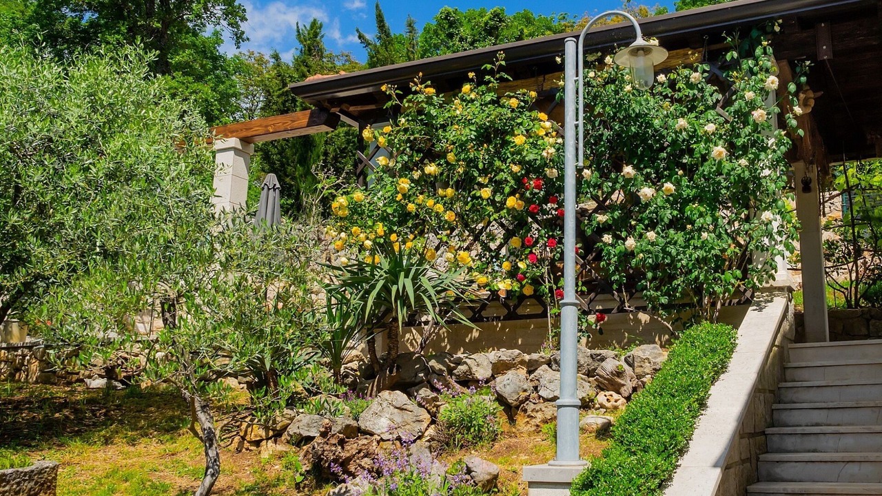 Photo of Outdoor in Porozina