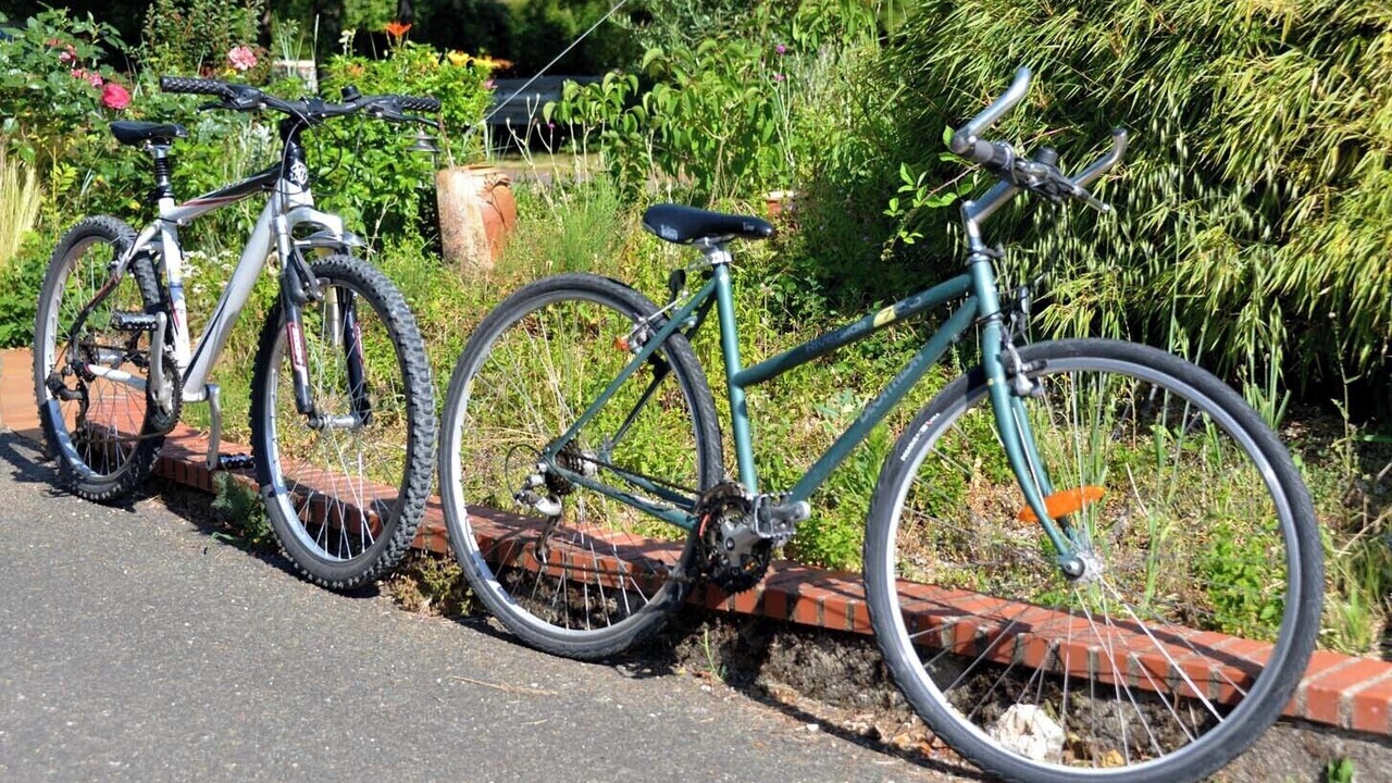 Photo of Others in Nouan-sur-Loire