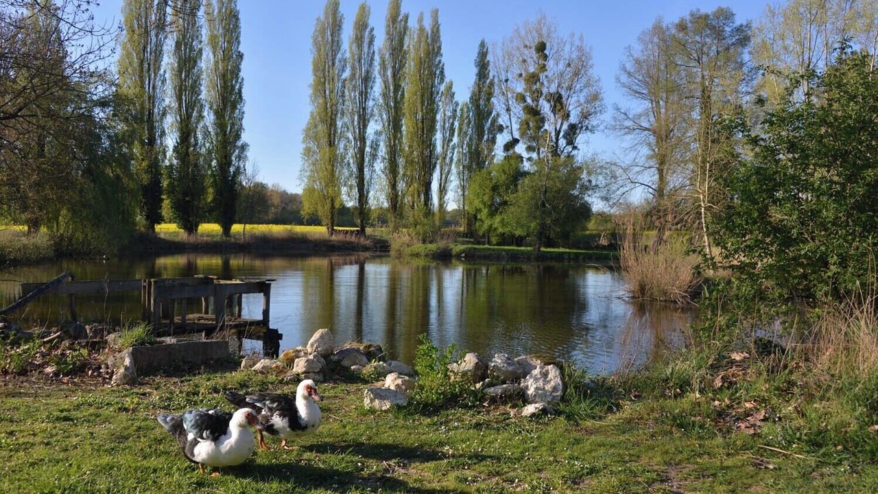 Photo of Others in Nouan-sur-Loire