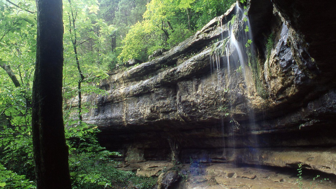 Photo of Others in Huntsville