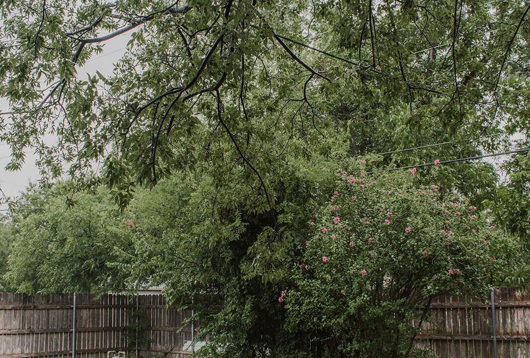 Photo of Outdoor in Sayles Blvd. Area