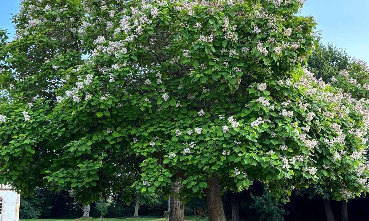 Photo of Outdoor in Hermanville-sur-Mer