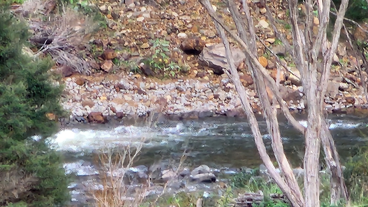 Photo of Others in Thames