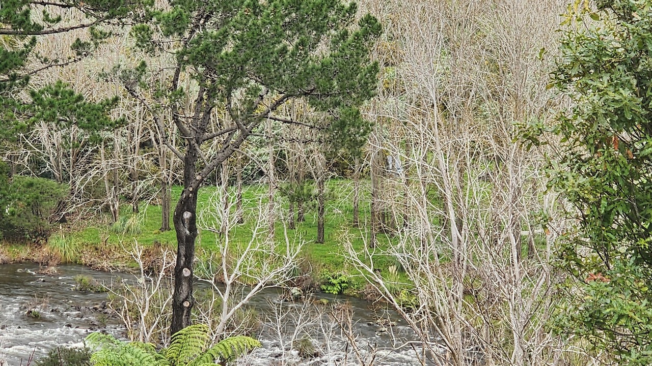 Photo of Outdoor in Thames