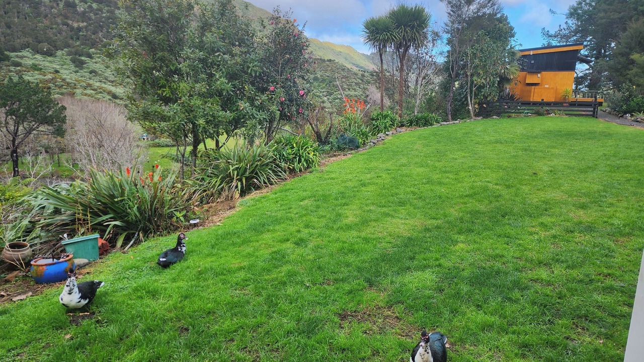 Photo of Outdoor in Thames