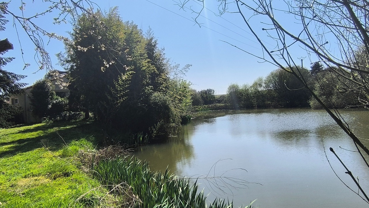 Photo of Others in Le May-sur-Evre