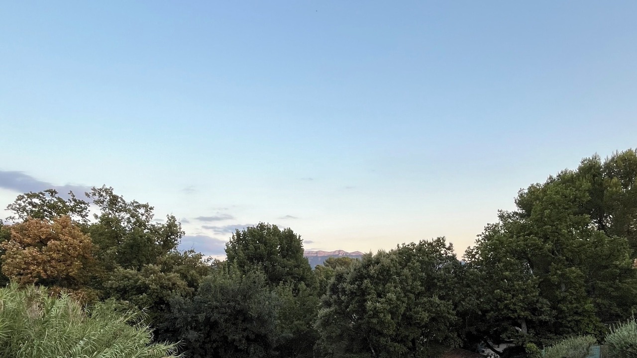 Photo of Others in Pourrieres