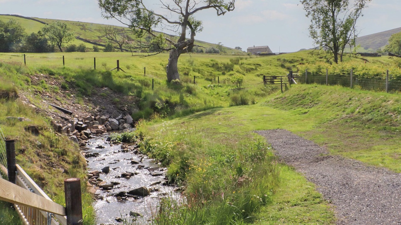 Photo of Outdoor in Fence