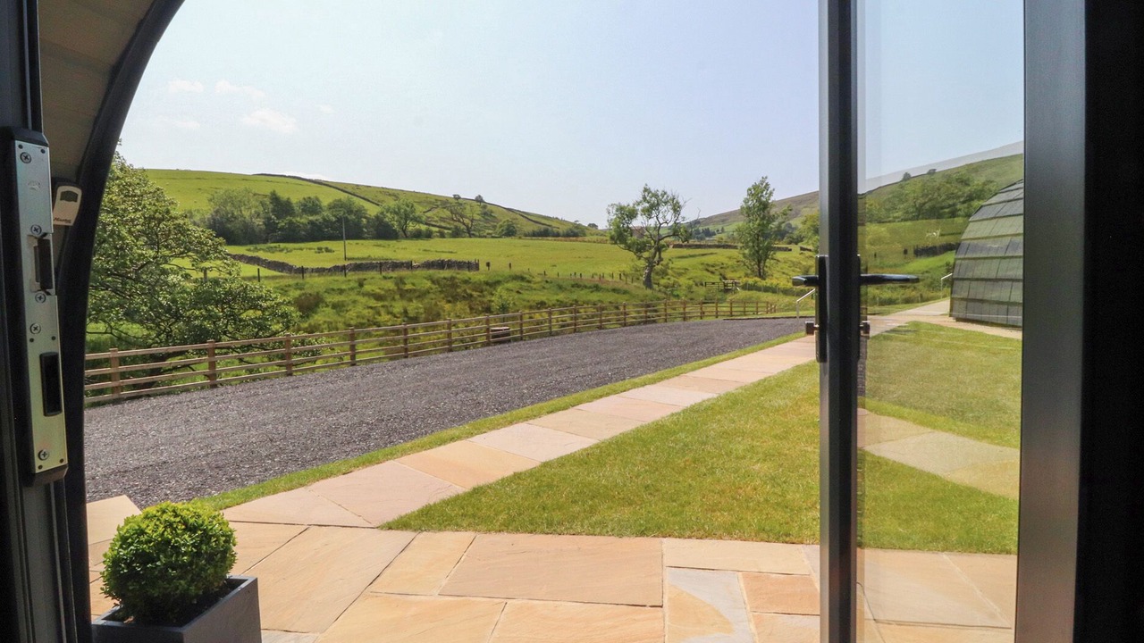 Photo of Others in Fence