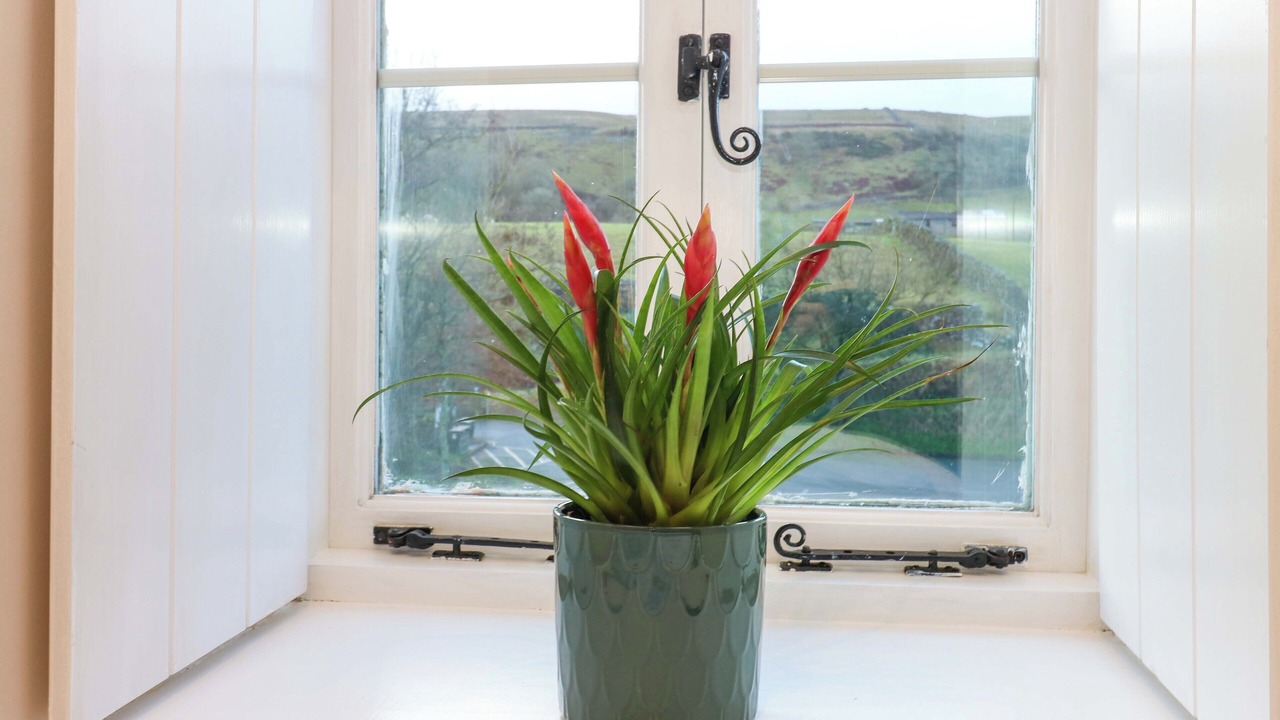 Photo of Others in Muker