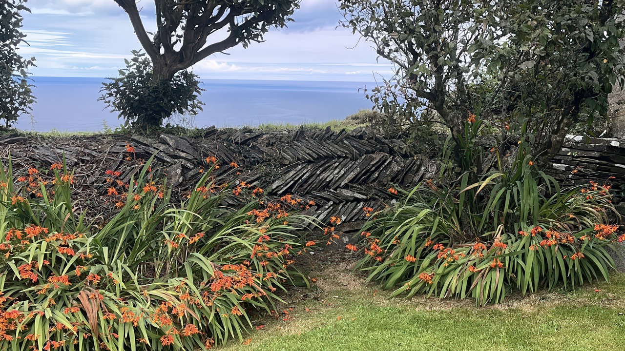 Photo of Outdoor in Boscastle
