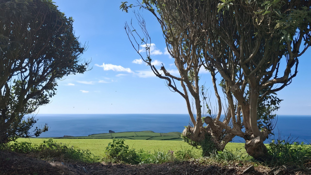 Photo of Others in Boscastle