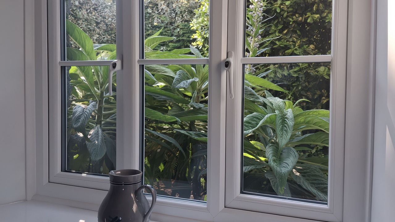 Photo of Others in Boscastle